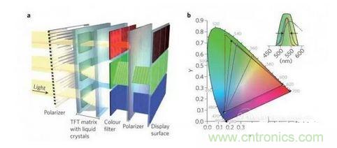  LCD顯示器示意圖。TFT表示薄膜晶體管（thin-film transistor）。