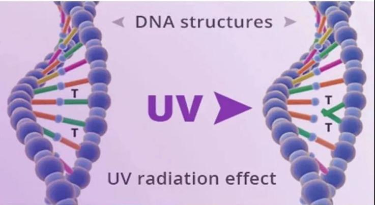 一文掌握UV LED在空凈消殺領(lǐng)域的主要應(yīng)用